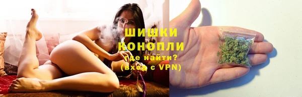 apvp Бородино